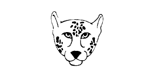Easy, step by step how to draw anime drawing tutorials for kids. Leopard Face Drawing For Kids In 2020 With Full Tutorial