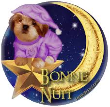 Гифки и гиф анимация, gif. Gif Anime Bonne Nuit Avec Petit Chien En Pyjama Les Gifs Animes De Dentelledelune