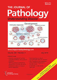 For a complete guide how to prepare your manuscript refer to the journal's instructions to authors. The Journal Of Pathology Open Access Journals