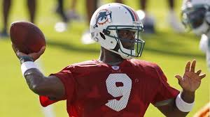 Dolphins List Garrard As No 1 Qb On Depth Chart Sportsnet Ca
