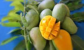 Anda boleh mencuba makanan seperti pulut yang dimakan bersama buah mangga. Ini Cara Cara Mengenalpasti Mangga Harumanis Perlis Yang Asli