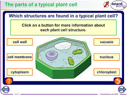 We did not find results for: What Is A Cell Prezentaciya Onlajn