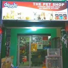 Shop exotic pets bay is the best in the usa for exotic pets. Buy Pets And Accessories At Pet Shops In Chandigarh Find In Chd