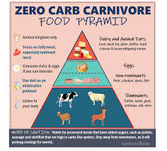 Carnivore Diet For Beginners How To Start The Zero Carbohydrate Carnivore Diet Nutrition With Judy Meat Diet Zero Carb Diet Lion Diet