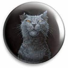 Stream Greebo / El Gato Music | Listen To Songs, Albums, Playlists For Free  On Soundcloud