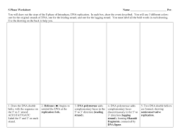 This mcq set consists of molecular biology multiple choice questions from the topic dna replication in prokaryotes and eukaryotes with answer key. Nutrition Label Worksheet Answer Key Quizlet Nutritionwalls
