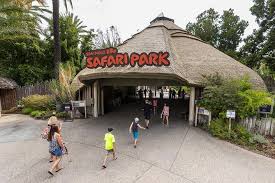 Conservation is at the heart of everything we do. San Diego 30 Minutige Zoo Safari Park Tour Mit Der Strassenbahn 2021 Tiefpreisgarantie
