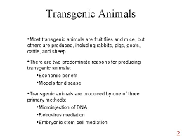 This foreign material can come from other already today thousands of products come from transgenic organisms. Transgenic Organisms A Transgenic Organism Is One Into