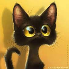 dreamies de gruppe bewegliche bilder katzen geburtstag gif bilder lustig urkomische tiere