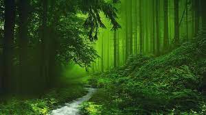 Share nature wallpapers with your friends. Nature Wallpapers For Windows 10 Page 1 Line 17qq Com