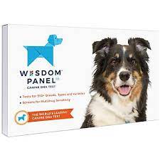 As the most comprehensive cat dna test on the market, wisdom panel™ complete for cats delivers unmatched value for pet parents. How Accurate Is Wisdom Panel My Dog Is A Robot