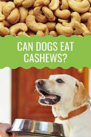 Can Dogs Eat Cashews Barking Royalty Can Dogs Eat Dog Nutrition Dog Food Recipes