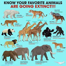 Pin By Kim Defreese On Animals Animal Conservation Extinct Animals Rare Animals