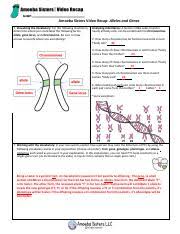 Start studying monohybrid cross worksheet. Video Recap Of Alleles And Genes By Amoeba Sisters Key Pdf Amoeba Sisters Video Recap Alleles And Genes 1 Visualizing The Vocabulary For The Following Course Hero