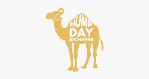 All products from what day is it camel category are shipped worldwide with no additional fees. Camel Transparent Hump Day Png Freeuse Library Hump Day Png Png Image Transparent Png Free Download On Seekpng