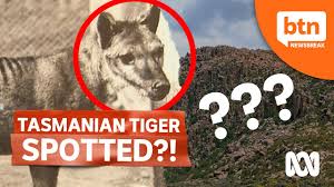 Dvojitá sumka na zahnuté zásobníkymp5 (30 nábojov) s uzatváraním pomocou suchého zipsu.•ka. Has The Tassie Tiger Finally Been Discovered Youtube