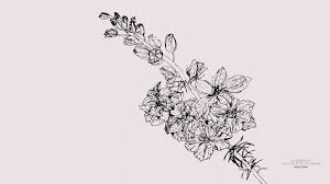 Check spelling or type a new query. July Birth Month Flower Drawing Novocom Top