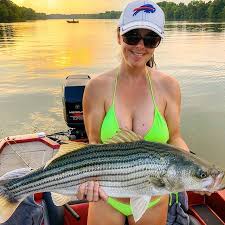You can also buy a fishing license in person from a designated fishing license dealer like an outdoor sporting goods store or tackle shop Top 17 Tennessee Game Fish Species Sarasota Fishing Charters 941 371 1390