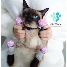 Your cat may scratch a neck wound as a natural response to reduce irritation. Pet Socks Cute Cat Dog Anti Scratch Anti Slip Pc039 Pet Supplies For Cats Cat Accessories On Carousell