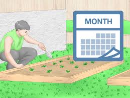 How To Use Crop Rotation In Gardening 11 Steps With Pictures