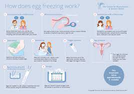 Egg Freezing London Egg Storage London Abdominal Egg Collection