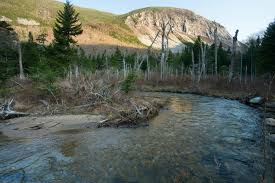 Check spelling or type a new query. Pemi Trail Outdoor Project