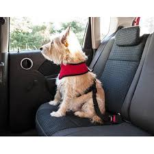 Furhaven Pet Car Belt Car Seat Dog Safety Belt Black Walmart Com Pet Car Seat Pet Car Dog Safety