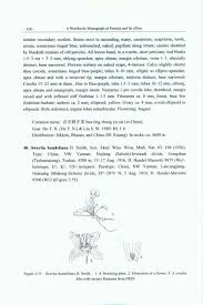 Image result for Swertia usambarensis