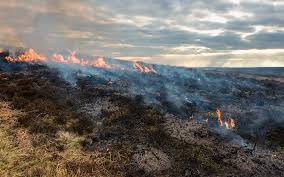 RSPB looks to public to flag moorland burning on peatlands