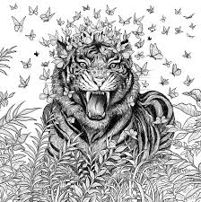 With this mythomorphia coloring book, kerby rosanes works mainly with ordinary black pens to magically illustrate with astounding detail such as you can print out these mythomorphia coloring pages. Fragile World Colour Nature S Wonders Colouring Books Amazon Co Uk Rosanes Kerby Currell Williams Imogen Books