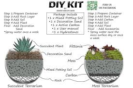 Buy Terrarium Diy Kit Terrarium Vivarium Succulent Tropical Plant Lots Of Discount And Promotional Sales Succulents Diy Terrariums Kits Terrarium Diy