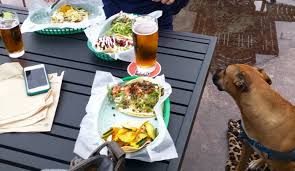 We did not find results for: Fish Tacos A Photo Essay Airstreamdog
