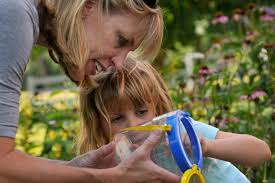 SLIDESHOW: Insect Safari at River Bend Farm