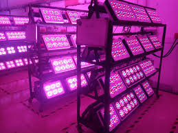 Ideal for all phases of plant growth, and works well with water solution culture and soil culture. Apollo 10 Full Spectrum 750w Led Grow Light 10band With Exclusive 5w Grow Led For Indoor Plant Hydroponic System High Efficiency Light Part Light Purple Cosplay Wiglight Pashmina Aliexpress