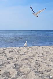 Mai 2013 endgültig diesen namen. Typisch Ostsee Ostsee Bilder Ostsee Ostsee Urlaub