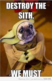 Woher nimmt karl lauterbach die chuzpe zu behaupten, die zahlen auf mallorca seien geschönt. Close Enough Pugs Funny Pug Memes Pugs In Costume