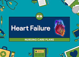 Heart Failure Nursing Care Plans 15 Nursing Diagnosis