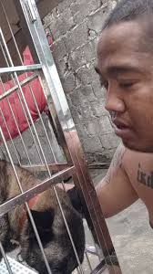 CATS and DOGS RESCUE PHILIPPINES