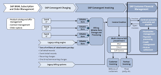 Typically reports to a manager or supervisor. What Is Sap Brim