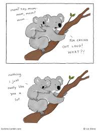 Pin By Antora Jim On Liz Climo Funny Animal Comics Funny Koala Cute Comics