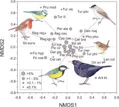 Pests like bed bugs and flies need blood to survive, not the traditional food. Birds As Suppliers Of Pest Control In Cider Apple Orchards Avian Biodiversity Drivers And Insectivory Effect Sciencedirect