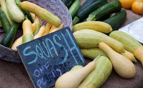 The early white bush scallop (patty pan) squash is an excellent summer squash for the home the university of illinois extension website recommends picking these squash when they are still. 10 Summer Squash Varieties Some You Know Some You Don T Modern Farmer