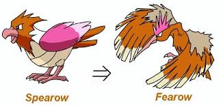 Spearow Evolution Pokemon Deep Thoughts Evolution