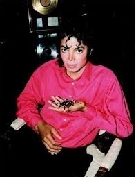 Pin On Michael Jackson Thriller