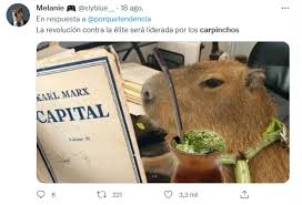 How much of carpincho's work have you seen? 7o1qepmlyw0nem