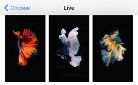 Find a photo that you want to use as your wallpaper and select it. Custom Live Wallpapers How To Animate Your Lock Screen Tapsmart