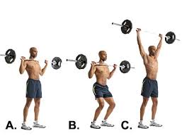 best exercises for major muscle groups