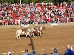 38th Annual Licking Rodeo – The Licking News