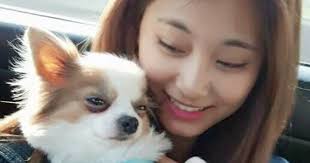 Twice Has 10 Furry Little Friends This Is Who They Are Boo is playful and really loves kookeu, but kookeu… twice has 10 furry little friends this