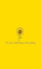 Quotes Yellow Aesthetic Wallpapers Top Free Quotes Yellow Aesthetic Backgrounds Wallpaperaccess Yellow can be linked to honeycore, due to the similarities in color and even motifs. quotes yellow aesthetic wallpapers